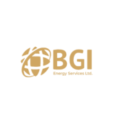 BGI Energy Services